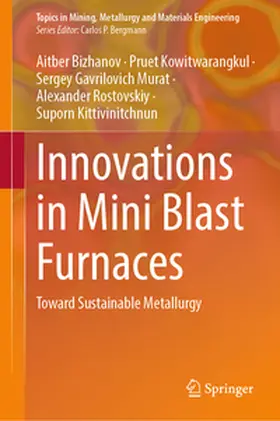 Bizhanov / Kowitwarangkul / Murat |  Innovations in Mini Blast Furnaces | eBook | Sack Fachmedien