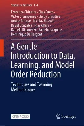 Chinesta / Pasquale / Cueto |  A Gentle Introduction to Data, Learning, and Model Order Reduction | Buch |  Sack Fachmedien