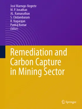 Marrugo-Negrete / Jonathan / Ramanathan |  Remediation and Carbon Capture in Mining Sector | eBook | Sack Fachmedien