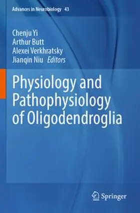 Yi / Butt / Verkhratsky |  Physiology and Pathophysiology of Oligodendroglia | Buch |  Sack Fachmedien