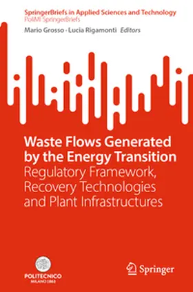 Grosso / Rigamonti | Waste Flows Generated by the Energy Transition | E-Book | sack.de