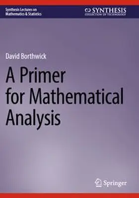 Borthwick |  A Primer for Mathematical Analysis | Buch |  Sack Fachmedien