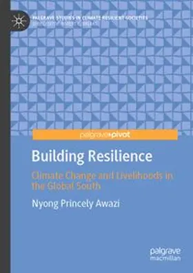 Awazi |  Building Resilience | Buch |  Sack Fachmedien