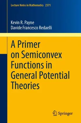 Payne / Redaelli |  A Primer on Semiconvex Functions in General Potential Theories | Buch |  Sack Fachmedien