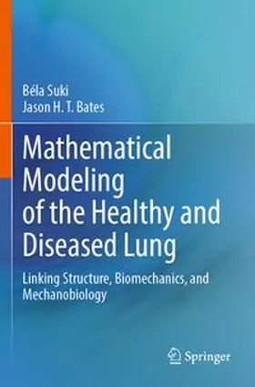 Suki / Bates |  Mathematical Modeling of the Healthy and Diseased Lung | Buch |  Sack Fachmedien