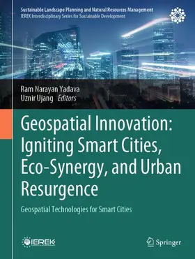 Yadava / Ujang |  Geospatial Innovation: Igniting Smart Cities, Eco-Synergy, and Urban Resurgence | Buch |  Sack Fachmedien