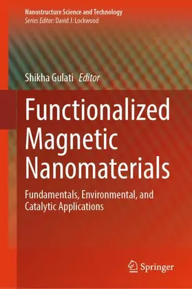 Gulati |  Functionalized Magnetic Nanomaterials | Buch |  Sack Fachmedien
