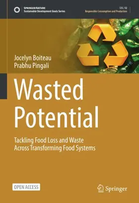 Boiteau / Pingali |  Wasted Potential | Buch |  Sack Fachmedien