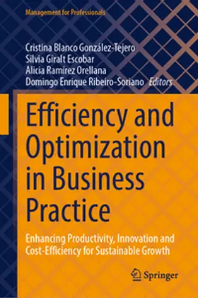 Blanco González-Tejero / Giralt Escobar / Ramírez Orellana |  Efficiency and Optimization in Business Practice | eBook | Sack Fachmedien