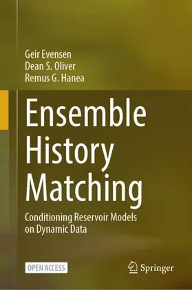 Evensen / Oliver / Hanea |  Ensemble History Matching | Buch |  Sack Fachmedien