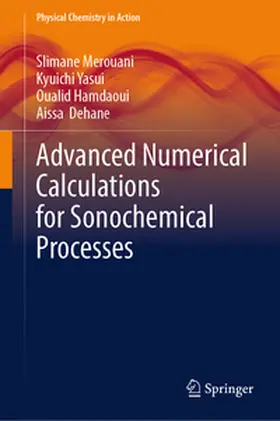 Merouani / Yasui / Hamdaoui |  Advanced Numerical Calculations for Sonochemical Processes | eBook | Sack Fachmedien