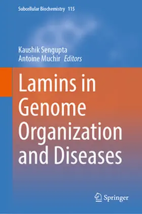 Sengupta / Muchir |  Lamins in Genome Organization and Diseases | eBook | Sack Fachmedien