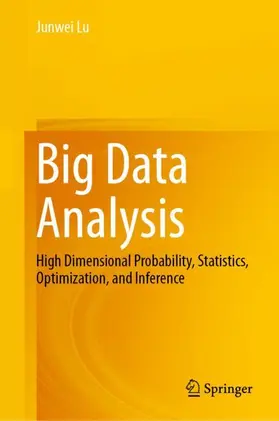 Lu | Big Data Analysis | Buch | 978-3-032-03160-0 | www.sack.de