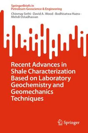 Sethi / Wood / Hazra | Recent Advances in Shale Characterization Based on Laboratory Geochemistry and Geomechanics Techniques | E-Book | www.sack.de