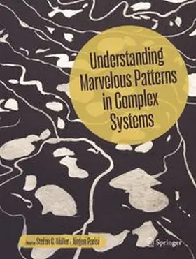 Müller / Parisi |  Understanding Marvelous Patterns in Complex Systems | eBook | Sack Fachmedien