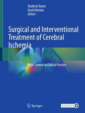 Beneš / Netuka | Surgical and Interventional Treatment of Cerebral Ischemia | Buch | 978-3-032-08933-5 | www.sack.de