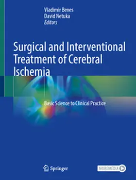 Beneš / Benes / Netuka |  Surgical and Interventional Treatment of Cerebral Ischemia | eBook | Sack Fachmedien