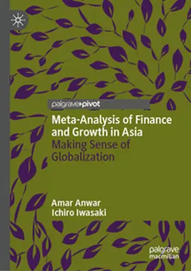 Anwar / Iwasaki |  Meta-Analysis of Finance and Growth in Asia | eBook | Sack Fachmedien