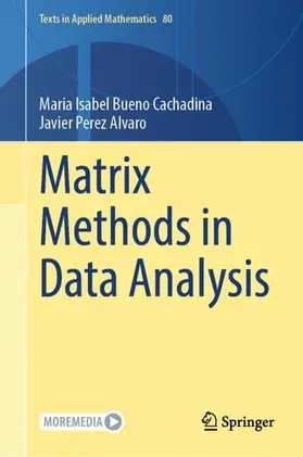 Bueno Cachadina / Perez Alvaro |  Matrix Methods in Data Analysis | Buch |  Sack Fachmedien
