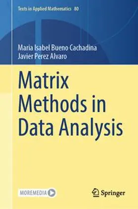 Bueno Cachadina / Perez Alvaro | Matrix Methods in Data Analysis | E-Book | www.sack.de