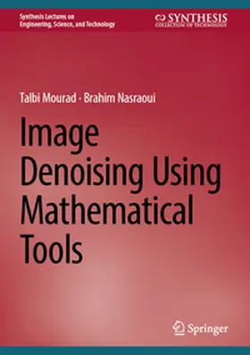 Talbi / Nasraoui |  Image Denoising Using Mathematical Tools | eBook | Sack Fachmedien
