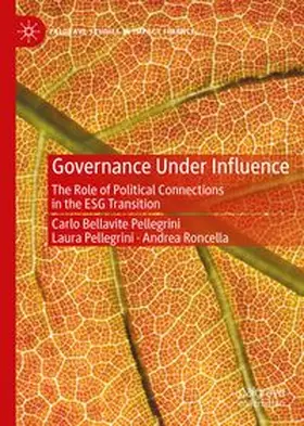 Bellavite Pellegrini / Pellegrini / Roncella | Governance Under Influence | E-Book | www.sack.de