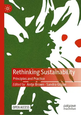 Brown / Gilgan |  Rethinking Sustainability | Buch |  Sack Fachmedien