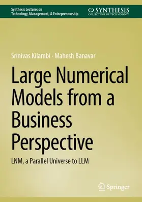 Kilambi / Banavar |  Large Numerical Models from a Business Perspective | Buch |  Sack Fachmedien
