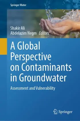 Ali / Negm |  A Global Perspective on Contaminants in Groundwater | Buch |  Sack Fachmedien