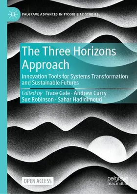 Gale / Curry / Robinson |  The Three Horizons Approach | Buch |  Sack Fachmedien