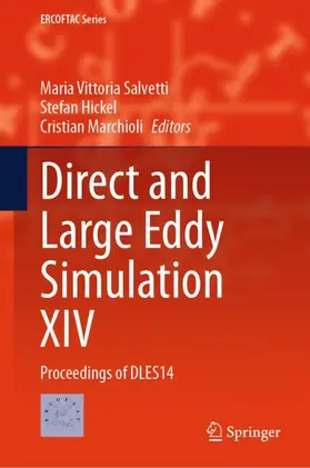 Salvetti / Hickel / Marchioli |  Direct and Large Eddy Simulation XIV | Buch |  Sack Fachmedien