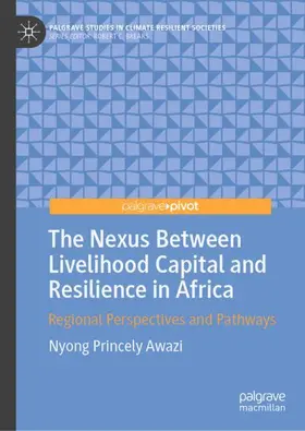 Awazi |  The Nexus Between Livelihood Capital and Resilience in Africa | Buch |  Sack Fachmedien