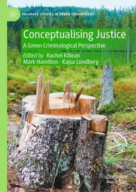 Killean / Hamilton / Lundberg |  Conceptualising Justice | Buch |  Sack Fachmedien