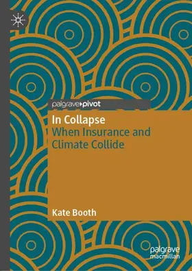 Booth |  In Collapse | Buch |  Sack Fachmedien