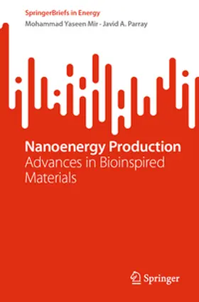 Mir / Parray |  Nanoenergy Production | eBook | Sack Fachmedien