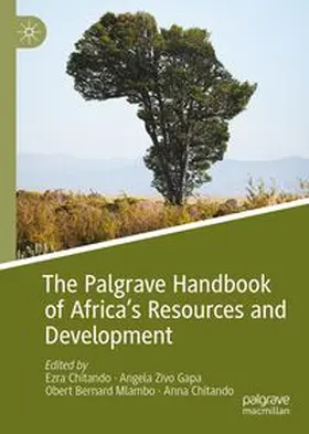 Chitando / Gapa / Mlambo | The Palgrave Handbook of Africa’s Resources and Development | Buch | 978-3-032-20951-1 | www.sack.de
