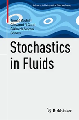 Bodnár / Galdi / Necasová |  Stochastics in Fluids | eBook | Sack Fachmedien