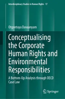 Davaanyam |  Conceptualising the Corporate Human Rights and Environmental Responsibilities | Buch |  Sack Fachmedien
