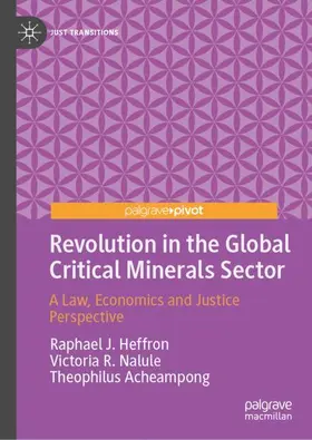 Heffron / Nalule / Acheampong |  Revolution in the Global Critical Minerals Sector | Buch |  Sack Fachmedien