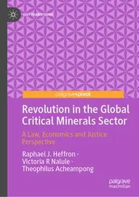 Heffron / Nalule / Acheampong |  Revolution in the Global Critical Minerals Sector | eBook | Sack Fachmedien
