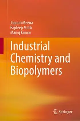 Meena / Malik / Kumar | Industrial Chemistry and Biopolymers | Buch | 978-3-032-28901-8 | www.sack.de