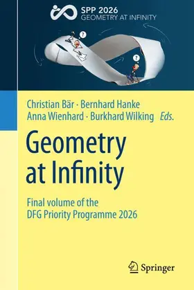 Bär / Hanke / Wienhard |  Geometry at Infinity | Buch |  Sack Fachmedien