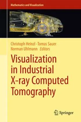 Heinzl / Sauer / Uhlmann |  Visualization in Industrial X-ray Computed Tomography | Buch |  Sack Fachmedien