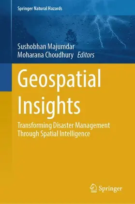 Majumdar / Choudhury |  Geospatial Insights | Buch |  Sack Fachmedien