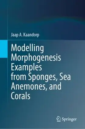 Kaandorp |  Modelling Morphogenesis Examples from Sponges, Sea Anemones, and Corals | Buch |  Sack Fachmedien