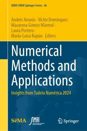 Arrarás / Domínguez / Gómez Mármol |  Numerical Methods and Applications | Buch |  Sack Fachmedien