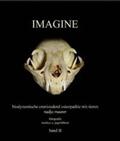 Maurer |  IMAGINE band 2 | Buch |  Sack Fachmedien