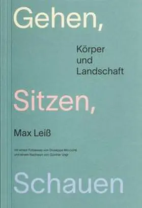 Leiß / Micchiché / Vogt |  Gehen, Sitzen, Schauen | Buch |  Sack Fachmedien