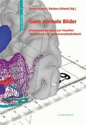 Gugerli / Orland |  Ganz normale Bilder | Buch |  Sack Fachmedien