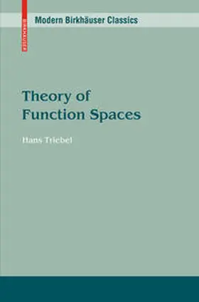 Triebel |  Theory of Function Spaces | eBook | Sack Fachmedien